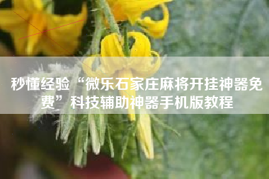 秒懂经验“微乐石家庄麻将开挂神器免费	”科技辅助神器手机版教程