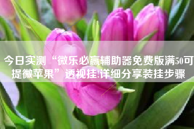 今日实测“微乐必赢辅助器免费版满50可提微苹果	”透视挂!详细分享装挂步骤