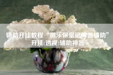 辅助开挂教程“微乐保皇记牌器辅助	”开挂(透视)辅助神器