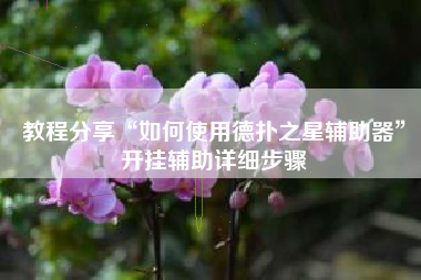 教程分享“如何使用德扑之星辅助器”开挂辅助详细步骤