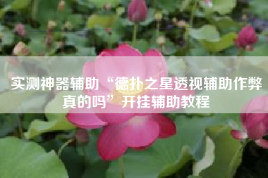 实测神器辅助“德扑之星透视辅助作弊真的吗	”开挂辅助教程