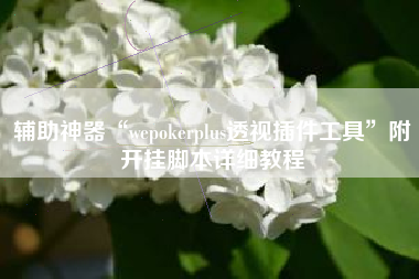 辅助神器“wepokerplus透视插件工具”附开挂脚本详细教程