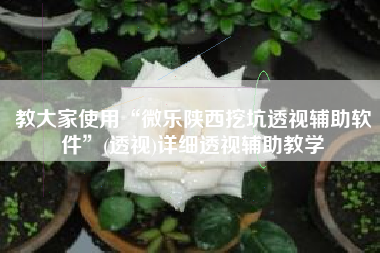 教大家使用“微乐陕西挖坑透视辅助软件”(透视)详细透视辅助教学