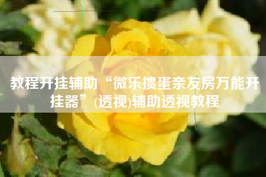 教程开挂辅助“微乐掼蛋亲友房万能开挂器	”(透视)辅助透视教程