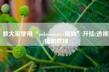 教大家使用“pokermaster辅助”开挂(透视)辅助教程