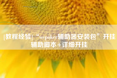[教程经验]“wepoker辅助器安装包”开挂辅助脚本+详细开挂