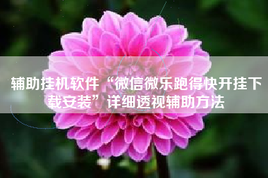 辅助挂机软件“微信微乐跑得快开挂下载安装”详细透视辅助方法