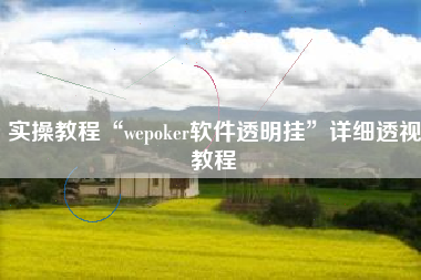 实操教程“wepoker软件透明挂”详细透视教程