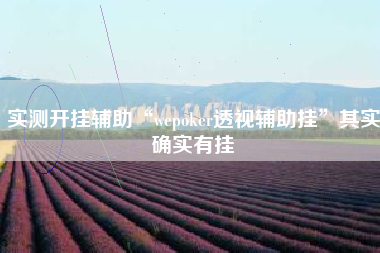 实测开挂辅助“wepoker透视辅助挂”其实确实有挂