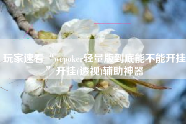 玩家速看“wepoker轻量版到底能不能开挂	”开挂(透视)辅助神器