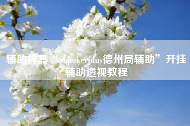 辅助神器“wepokerplus德州局辅助	”开挂辅助透视教程