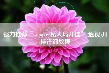 强力推荐“wepoker私人局开挂”(透视)开挂详细教程