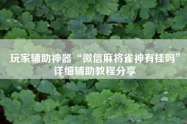 玩家辅助神器“微信麻将雀神有挂吗”详细辅助教程分享