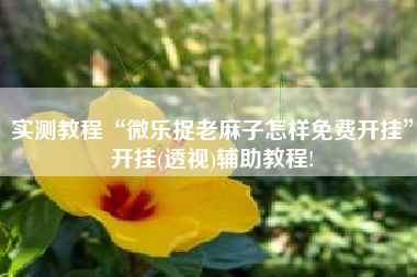 实测教程“微乐捉老麻子怎样免费开挂	”开挂(透视)辅助教程!