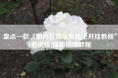 盘点一款“如何在微乐麻将上开挂教程	”(透视挂)辅助透视教程