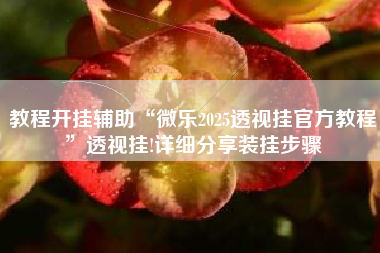 教程开挂辅助“微乐2025透视挂官方教程”透视挂!详细分享装挂步骤