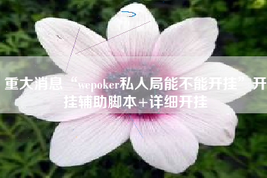 重大消息“wepoker私人局能不能开挂”开挂辅助脚本+详细开挂