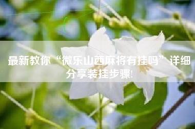 最新教你“微乐山西麻将有挂吗	”详细分享装挂步骤!