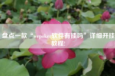 盘点一款“wepoker软件有挂吗”详细开挂教程!