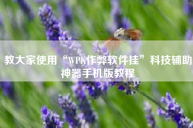 教大家使用“WPK作弊软件挂”科技辅助神器手机版教程