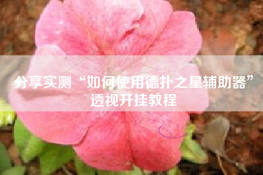 分享实测“如何使用德扑之星辅助器”透视开挂教程