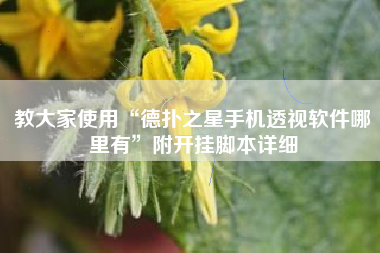 教大家使用“德扑之星手机透视软件哪里有”附开挂脚本详细