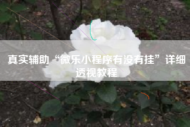 真实辅助“微乐小程序有没有挂”详细透视教程
