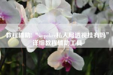 教程辅助!“wepoker私人局透视挂有吗”详细教程辅助工具