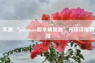 实测!“pokemmo脚本辅助器”开挂详细教程