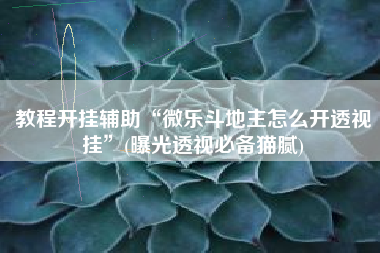 教程开挂辅助“微乐斗地主怎么开透视挂	”(曝光透视必备猫腻)