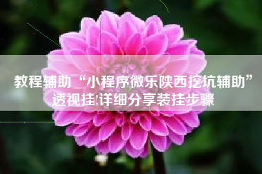 教程辅助“小程序微乐陕西挖坑辅助	”透视挂!详细分享装挂步骤