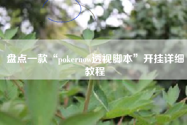 盘点一款“pokernow透视脚本	”开挂详细教程