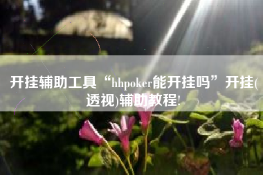 开挂辅助工具“hhpoker能开挂吗”开挂(透视)辅助教程!