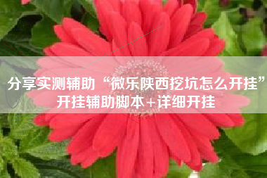 分享实测辅助“微乐陕西挖坑怎么开挂”开挂辅助脚本+详细开挂