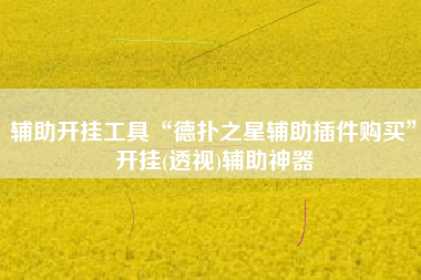 辅助开挂工具“德扑之星辅助插件购买	”开挂(透视)辅助神器