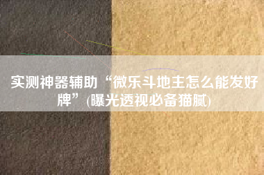 实测神器辅助“微乐斗地主怎么能发好牌	”(曝光透视必备猫腻)