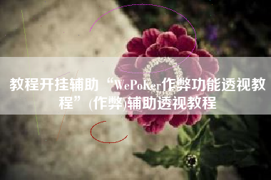 教程开挂辅助“WePoKer作弊功能透视教程”(作弊)辅助透视教程