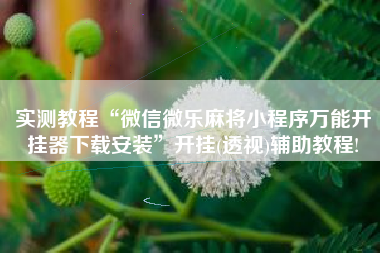 实测教程“微信微乐麻将小程序万能开挂器下载安装”开挂(透视)辅助教程!
