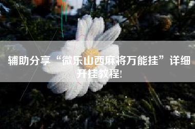 辅助分享“微乐山西麻将万能挂”详细开挂教程!