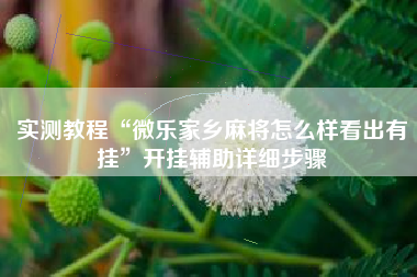 实测教程“微乐家乡麻将怎么样看出有挂”开挂辅助详细步骤