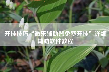 开挂技巧“微乐辅助器免费开挂	”详细辅助软件教程