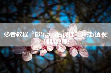 必看教程“微乐2025透视挂	”开挂(透视)辅助教程!