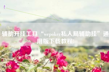 辅助开挂工具“wepoker私人局辅助挂	”通用版下载教程!