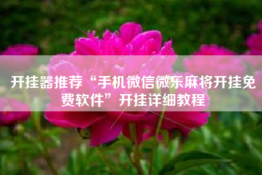 开挂器推荐“手机微信微乐麻将开挂免费软件	”开挂详细教程