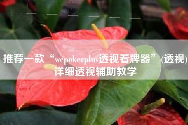 推荐一款“wepokerplus透视看牌器”(透视)详细透视辅助教学