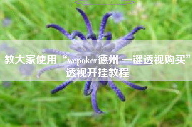 教大家使用“wepoker德州 一键透视购买	”透视开挂教程