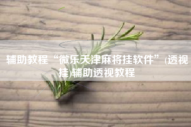 辅助教程“微乐天津麻将挂软件	”(透视挂)辅助透视教程