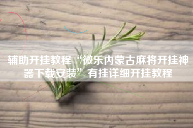 辅助开挂教程“微乐内蒙古麻将开挂神器下载安装”有挂详细开挂教程