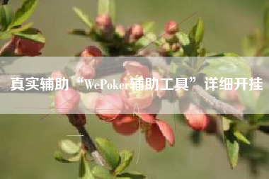 真实辅助“WePoker辅助工具”详细开挂