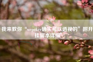 我来教你“wepoker确实可以透视的	”附开挂脚本详细